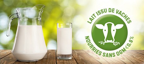 Du lait issu de vaches nourries sans OGM - Bel Foodservice