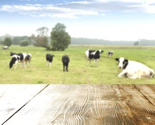 Tendre vers plus de naturalité - Bel Foodservice