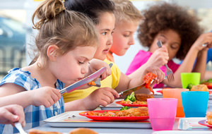 Implications nutritionnelles sur l'offre alimentaire en restauration scolaire des directives françaises et des modifications de pratiques liées aux plats protidiques