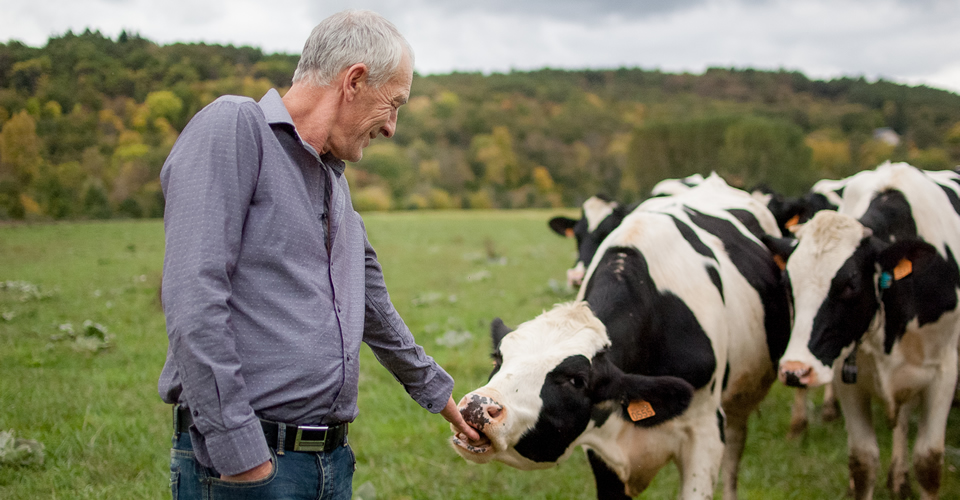 L’engouement pour des produits français et plus naturels ne se dément pas !