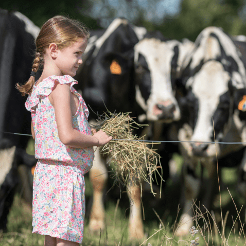 Promoting sustainable agriculture